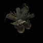 Fascinator clip fiore con piumette nero